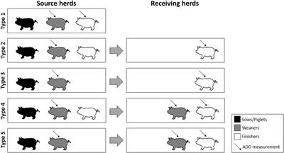 No Clear Effect of Initiating Vaccination against Common Endemic Infections on the Amounts of Prescribed Antimicrobials for Danish Weaner and Finishing Pigs during 2007–2013